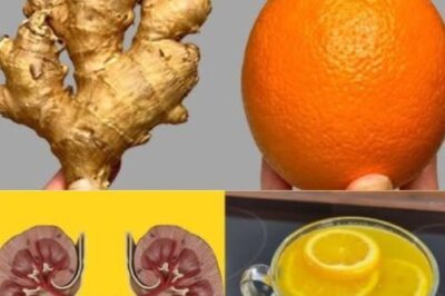Cleanse Your Kidneys, Liver, and Lungs Naturally: The Path to a Healthier You