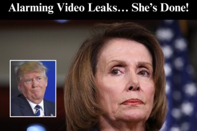 Pelosi Urged Biden Not To Debate Trump In A ‘Play To His Ego’: Book