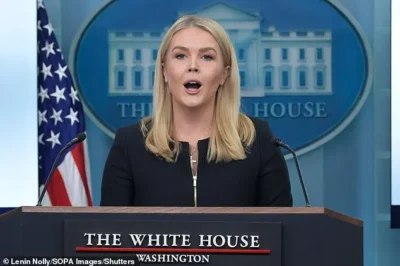 Fans are losing their minds after Karoline Leavitt reacted violently to veteran MSNBC host Nicolle Wallace, but when the reason was exposed, no one doubted it anymore.