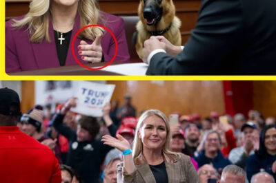 Karoline Leavitt Gives a Secret Signal to Her Dog, Judge Stops the Courtroom in Shock!