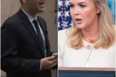 CNN takes a jab at Karoline Leavitt with harsh New nickname after her first White House briefing