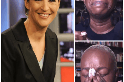When Rachel Maddow reveals the shocking truth behind Joy Reid’s termination, she calls NBC executives “bastards.” The Media Sector Is Astonished by Power Play