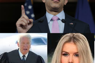 Judge FLEES COUNTRY After Karoline Leavitt $800M LAWSUIT Process Speed Up!