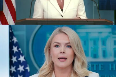 Nancy Pelosi Tries to Humiliate Karoline Leavitt – Her Response Leaves Entire America Speechless!
