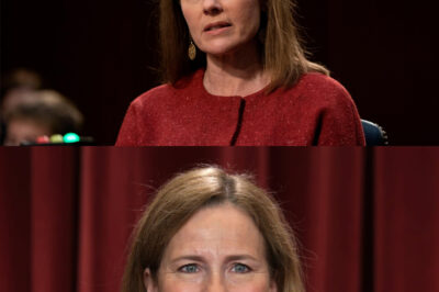 Judge Amy Coney Barrett STORMS OFF After Elon Musk EXPOSES His Secrets LIVE ON AIR
