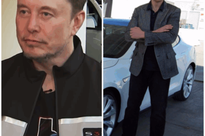 BREAKING: Elon Musk Stuns the World With 2025 Tesla Model Q—Design So Bold, It Feels Unreal