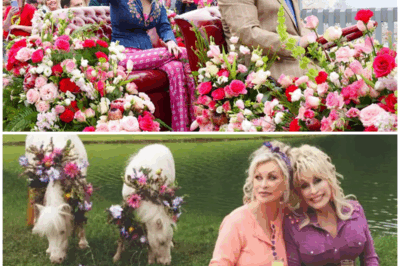 Why Is Everyone Talking About Dolly This Spring?