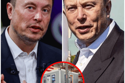 Elon Musk Unveils Tesla’s $6,999 Tiny Home — The Future of Affordable Living Is HERE and It’s Absolutely Mind-Blowing!