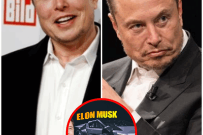 INSIDE Elon Musk’s Billionaire MADNESS: $100K Car to Space, $44B for Twitter, and Wild Spending Sprees You Won’t Believe! From Secret Labs to Underground Mansions — What’s He Planning Next?!
