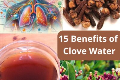 Everyone loves clove water, but most people underestimate the incredible benefits it offers…