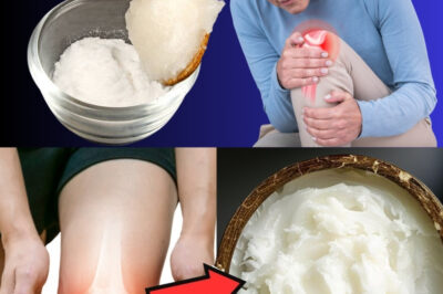 Foods to Rebuild Knee Cartilage: This Is What You Should Eat! 🦵✨