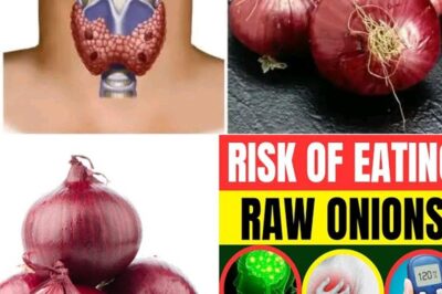 The Remarkable Health Benefits of Onions: More Than Just a Flavorful Kitchen Staple