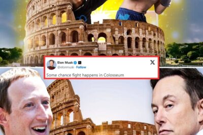 Elon Musk and Mark Zuckerberg’s highly anticipated fight is becoming an even crazier circus, with rumors that it might take place in the Colosseum.