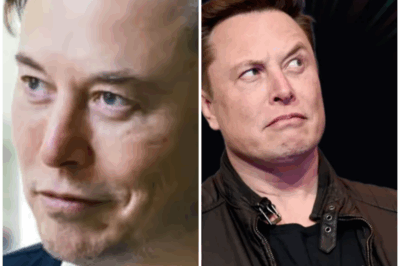 Musk Shuts Down TikTok Rumors—But His Next Move Might Be Bigger!