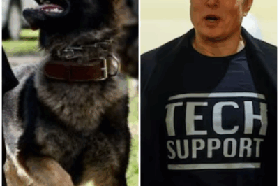 “TechPaws”: Elon Musk’s Visionary Dream to Give Injured Police Dogs a Second Chance