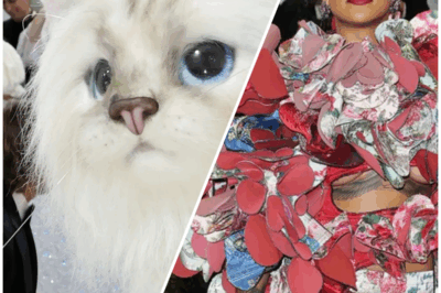 Met Gala’s Most Outrageous Looks: The Wildest Dresses That Shocked the Red Carpet