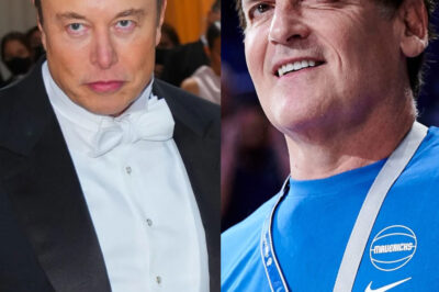 🔥 EXPLOSIVE FEUD: Mark Cuban Blasts Elon Musk, Calling His Control of DOGE ‘a National Catastrophe’ 🇺🇸—Tap to Discover What’s Really Happening Behind the Scenes!