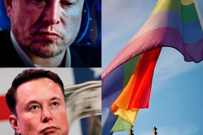 Elon Musk Sparks Nationwide Uproar After Investing $200 Million Into a $2 Billion Sponsorship Empire—Then Declares “I Don’t Want to See That Flag in the United States,” Triggering a Firestorm of Media Backlash, Public Outrage, and the Most Polarizing Debate Corporate America Has Seen in Years