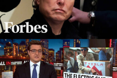 SHOCKING: Chris Hayes BLAMES Elon Musk for the Aftermath of Tesla’s MASSIVE Stock Drop—How the Fall is ROCKING Wall Street and Media!