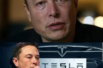 BREAKING: Elon Musk’s SHOCKING Announcement Sends SpaceX Employees Into Tears—‘I Beg You…’ Fans Hold Emergency Prayer Circles as He Reveals the UNTHINKABLE… Is This the END? What He’s Hiding Will Leave You Speechless!