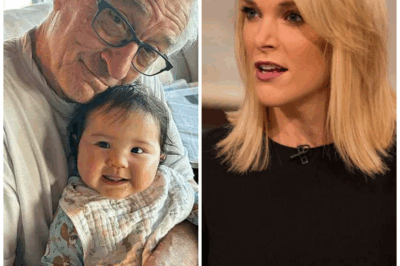 Robert De Niro’s Statement Stuns the Entire Studio with Shocking 8-Words after Megyn Kelly bluntly called him ‘Extremely stupid’ on television!