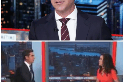 Jesse Watters Corrects Guest, Tells Her That ‘Harem of Children’ Isn’t the Phrase She’s Looking For