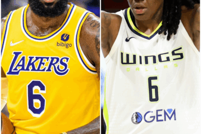 Indiana Fever Star Had No Words After LeBron James Shoutout During Fever-Sky