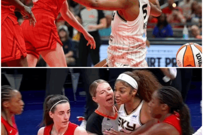 The WNBA launched a racism investigation a day after Angel Reese got into it with Caitlin Clark