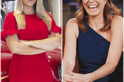 LIVE TV EXPLOSION: Nicolle Wallace LOSES CONTROL After Karoline Leavitt’s Blunt Retort—Audience in SHOCK as MSNBC Host ERUPTS in On-Air Rant!