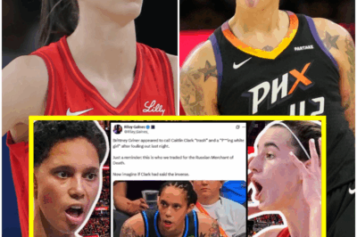 Brittney Griner Appears on Camera To Get RACIAL on Caitlin Clark! Will WNBA INVESTIGATE THIS?!