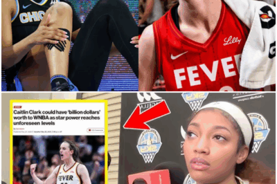 Zero Credit to Angel Reese As $6.5 Billion Brand’s WNBA Announcement Involving Caitlin Clark Turns Heads