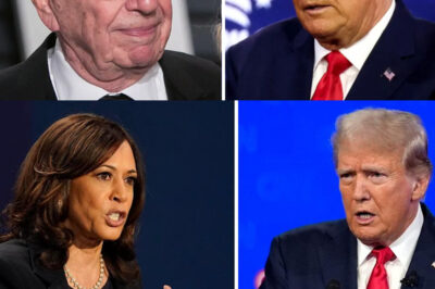 Richard Wolff Tries To Mock Donald Trump, But Karoline Leavitt Makes Him Regret It