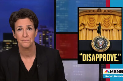 Maddow polls all the ways Trump has ‘botched’ his first 100 days