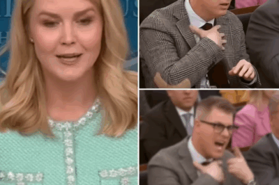 THIS JUST HAPPENED: LIVE TV MELTDOWN! A veteran reporter just torched their own career after dropping a jaw-dropping insult on Karoline Leavitt. Leavitt’s lightning-fast clap-back froze the internet—and the network booted the journalist before the cameras even cooled