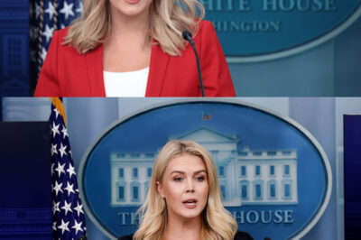 Reporters EMBARRASSED As Karoline Leavitt CALLS OUT Their Hypocrisy