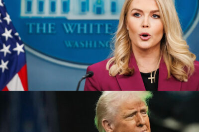 Karoline Leavitt Exposes Judge Amy Coney Barrett Secret Deal—The Room Goes Silent Instantly!