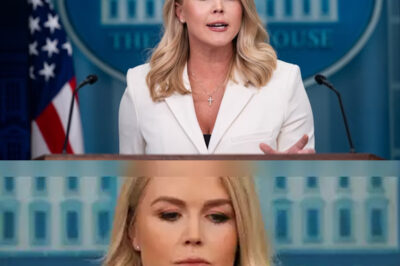 Karoline Leavitt CLAPS BACK FIERCELY after Japan Rep SLAMS Trump in FLOOR SPEECH