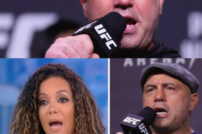 Joe Rogan & Guest EXPOSE Sunny Hostin’s Race Arguments After VIRAL Meltdown