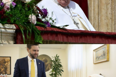 Leavitt Reveals a Shocking Truth About Pope Francis – What Happens Next Will Bring Everyone to Tears