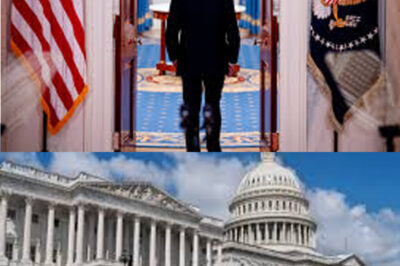 ‘This is an emergency’: Joe on why White House, Congress is on notice over airport staffing issues