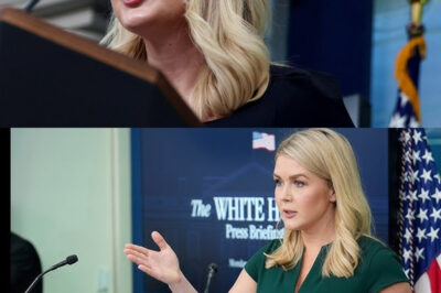 Karoline Leavitt Isn’t Taking LECTURES From Anyone – BRUTAL Takedowns!