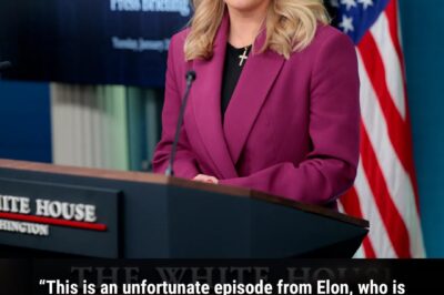 Trump and Musk trade insults as row erupts in public view