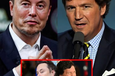 “I Will End the Woke Agenda at Iconic Network.” ELON MUSK ANNOUNCES PLAN TO BUY ABC