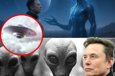 Elon Musk’s Shocking Confirmation of Extraterrestrial Encounter Sparks Global Debate: The Truth Is Stranger Than We Imagined
