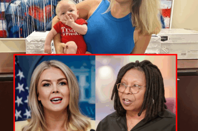 FOX NEWS ERUPTS: Karoline Leavitt Obliterates The View With One Savage Line—Even the Hosts Didn’t See It Coming