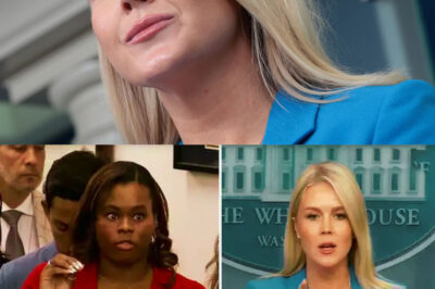 “You Came Here With an Agenda — But No Facts”: Karoline Leavitt Flips the Script on Reporter in Viral White House Showdown