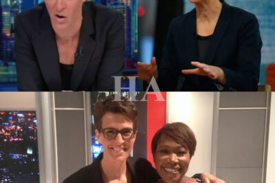 THIS JUST EXPLODED: Rachel Maddow MELTS DOWN Over Joy Reid’s Secret Exit Deal — Calls MSNBC Bosses ‘Bastards’ After Learning the Dark Truth.