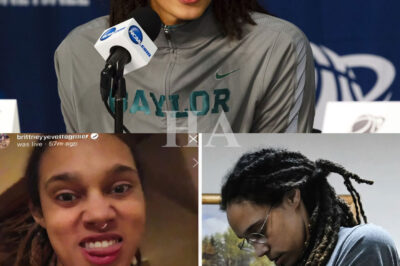 Brittney Griner breaks down in tears after the WNBA drops a bombshell—mandatory gender testing for ALL players! Brittney Griner has faced criticism and has been suspended from competing in the women’s category until testing is completed. Discussions around controversy, identity debates, and locker room tensions are exploding online. “Don’t push me to the edge or none of you will be safe,” Brittney Griner left behind 5 words that shook the entire world.