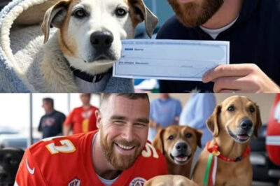 Travis Kelce Saved a Failing Dog Shelter With $500,000—But It Was the Surprise He Left Behind That Made This Story Go Viral Around the World