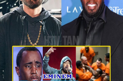 He Stayed Quiet for Years—Until Now. Eminem’s ‘Party’s Over’ Destroys Diddy in a No-Holds-Barred Assault That’s Rattling the Entire Rap Game